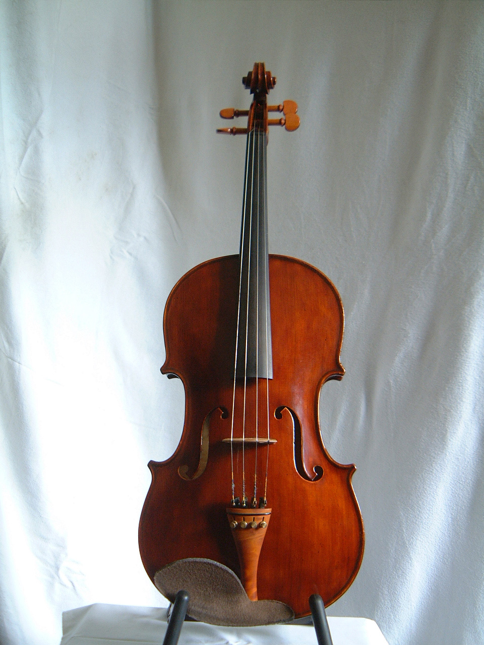 Viola [1912]
